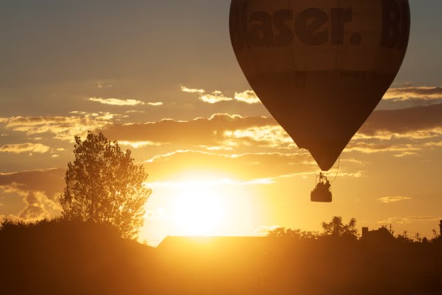 Heißluftballon vor Sonnenuntergang in der Pfalz